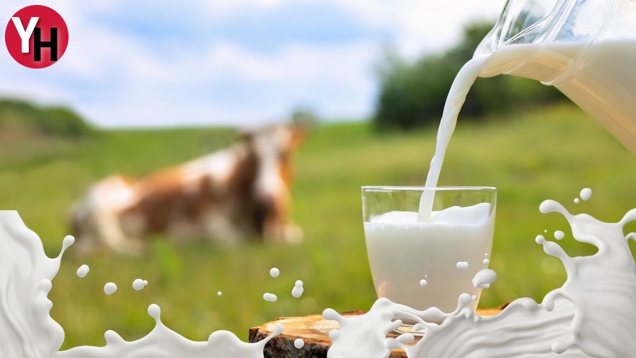 Çiğ Süt Tavsiye Fiyatı: YSK'nın Belirlediği Yeni Fiyatlar