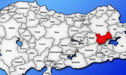 Türkiye'nin Doğusundan Yankılanan 49 Numaralı Plaka Hikayesi