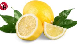 Limon Asidi, Et Yumuşatır, Lavaboyu Parlatır