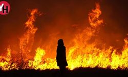 Rüyada Yangın Görmek Neyin işaretçisi? Anlam ve Yorumları