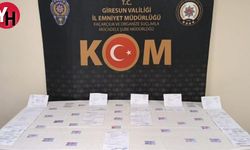 Giresun’da Sahte Ehliyet Operasyonunda 6 Kişi Gözaltına Alındı