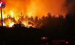 İzmir, Aydın ve Çanakkale'de Orman Yangınları Korkuttu