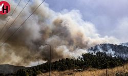 Hizbullah'ın 200 Roket ve 20 İHA ile İsrail'e Saldırısı: Orman Yangını ve Hasar