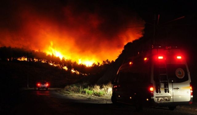 Antalya'daki Orman Yangını: Doğanın İçindeki Cehennem