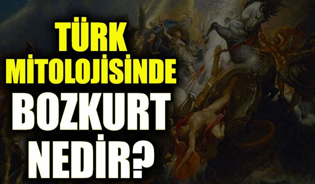 Bozkurt Türk Tarihinde Tam Bir İdol! Türk’üm Diyen Bilir Peki Nedir Özelliği