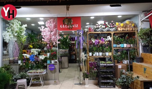 Sürprizlerin Ustası Eflatun Çiçekçilik: Ataşehir'de Hızlı ve Özel Teslimat!