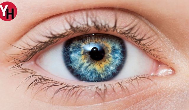 Gözler Kalbin Aynası mıdır? Duygularımızı Gözlerimiz Ele Veriyor mu?