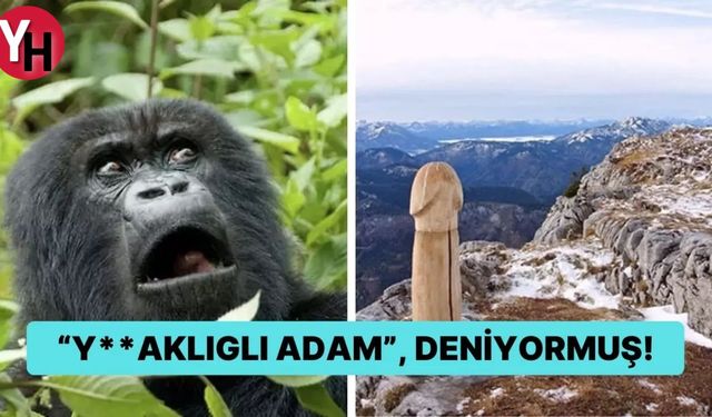 Türk Dilindeki Argoların İlginç Hikayesinde S*k ve Y**ak Kelimelerinin Sırları
