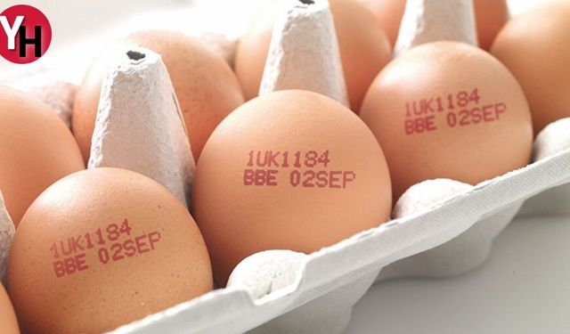 Yumurta Üzerindeki Rakamların Sırrı: Sağlıklı Tercihler İçin İpuçları