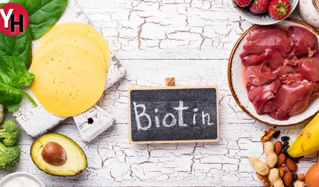 Biotin (B7 Vitamini) Faydaları Nelerdir?