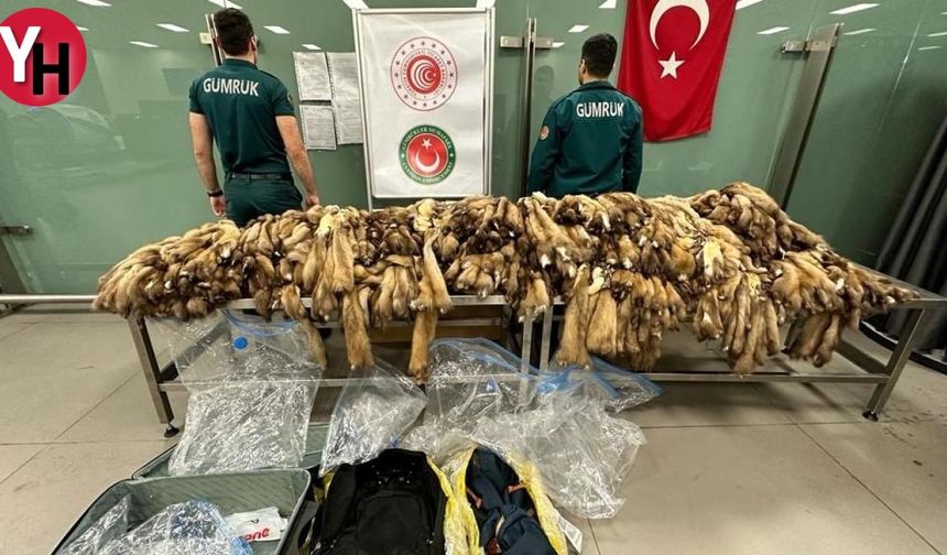 İstanbul Havalimanı'nda Şaşırtan Operasyon: Hayvan Zehirleriyle Dolu Çanta Ele Geçirildi
