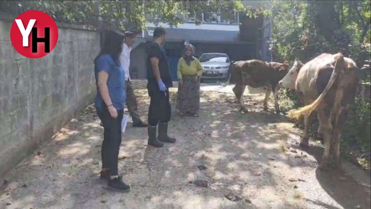 Hastalığıyla Mücadele 46 Köyde Giriş-Çıkışlar Kapatıldı!