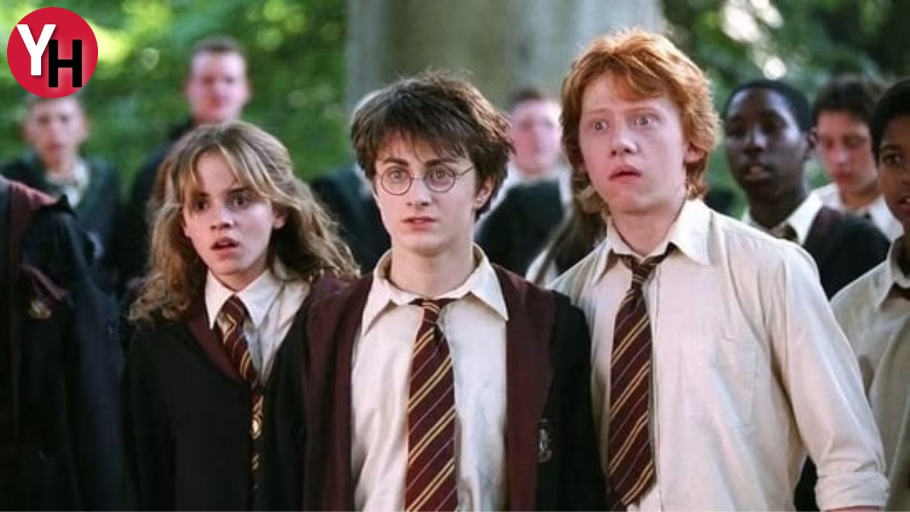 Harry Potter Dizisi