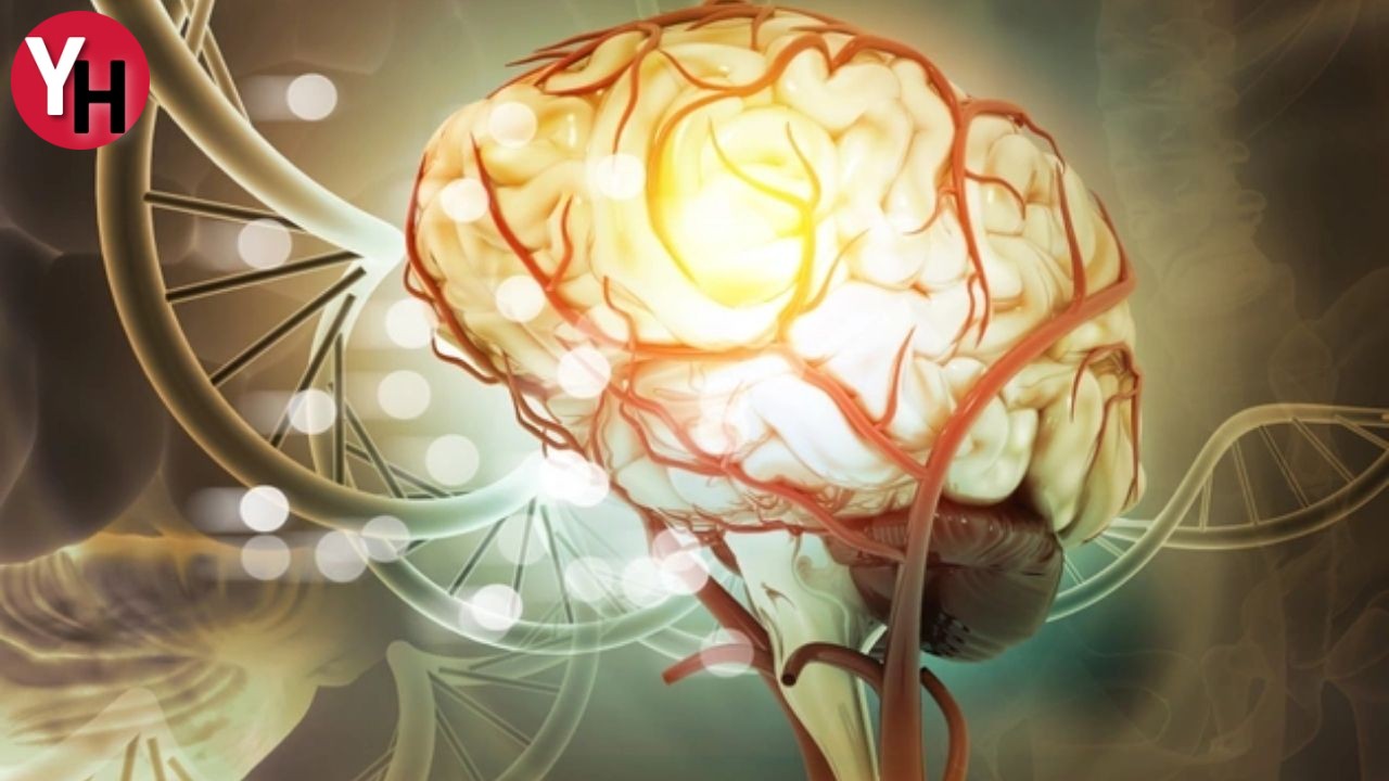 Parkinson Tedavisinde En Etkili Yöntem Beyin Pili (2)